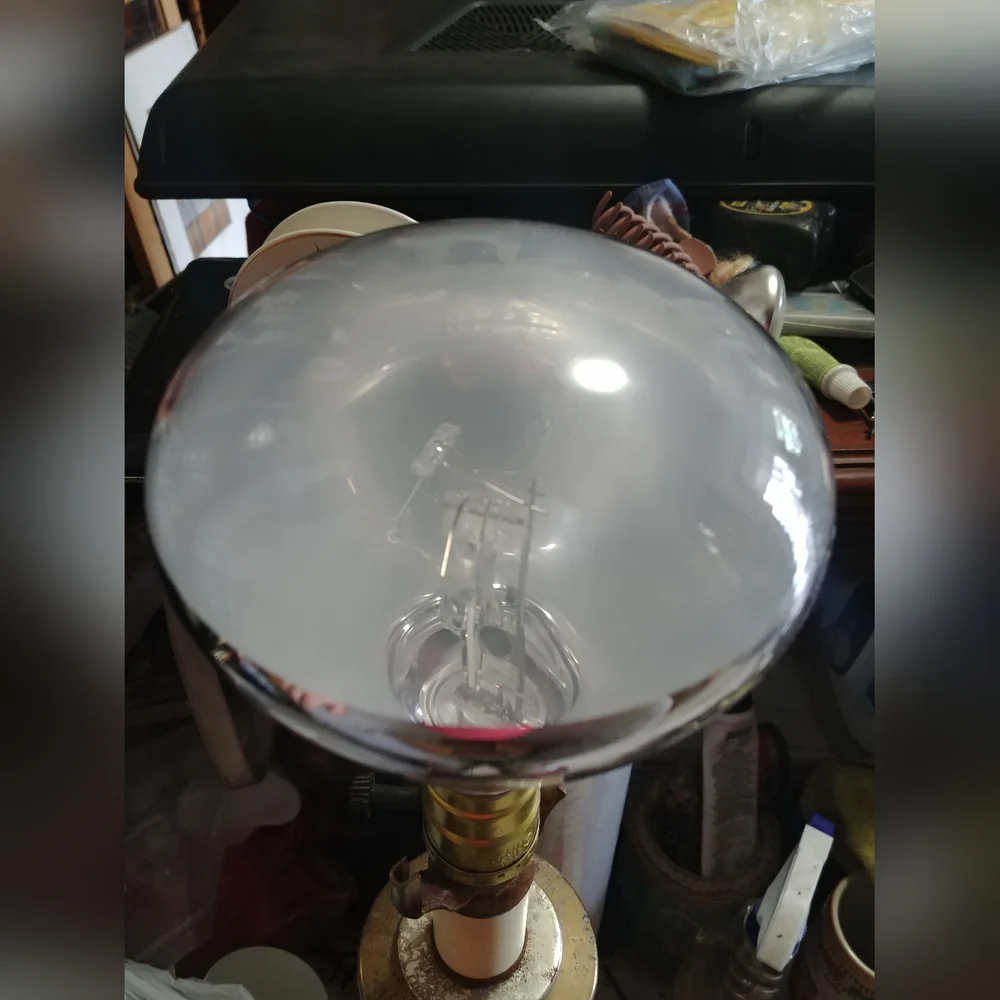 100 Watt Mercury Vapor Lamp For Pets